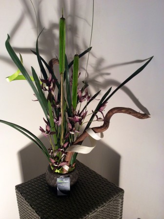 Orchidées Oncidium, lianes & joncs / 80€- Vendu